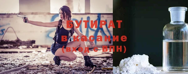 индика Сатка