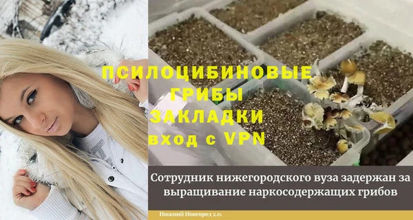 индика Сатка