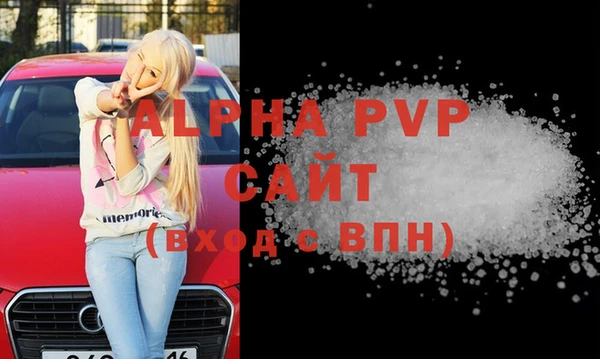 индика Сатка
