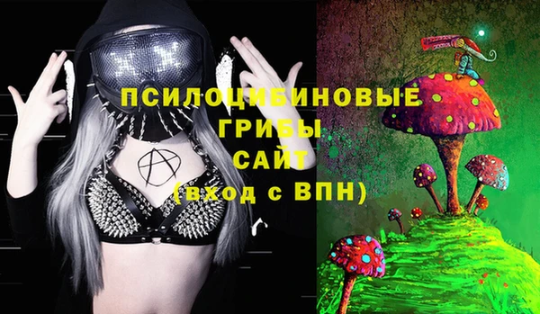 спайс Баксан
