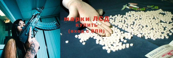 спайс Баксан
